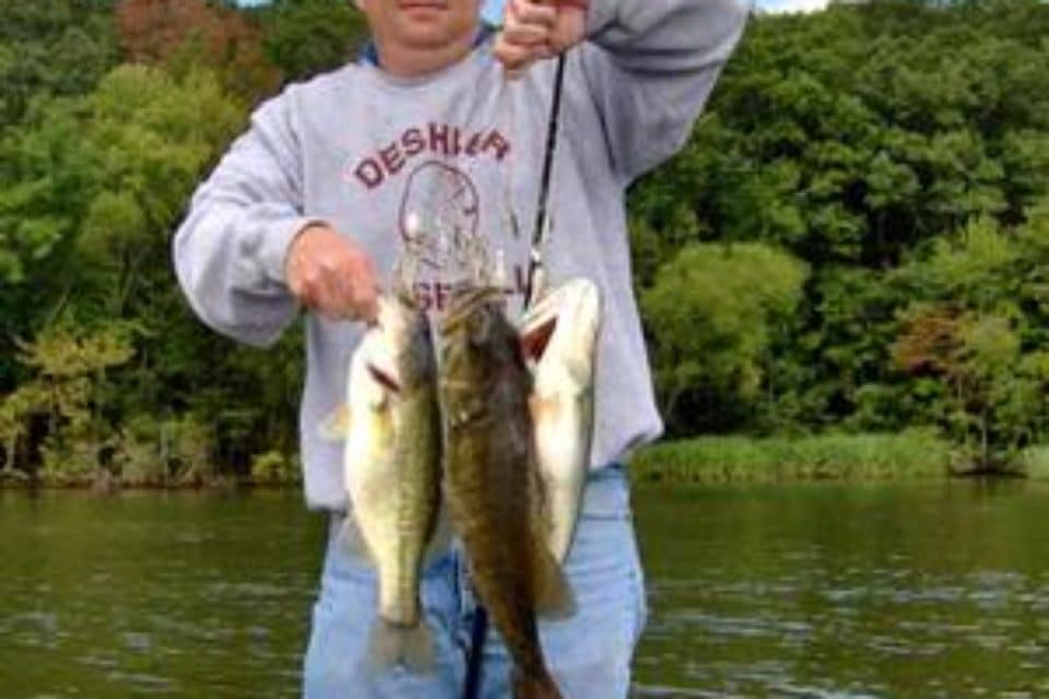 peter parker no shirt