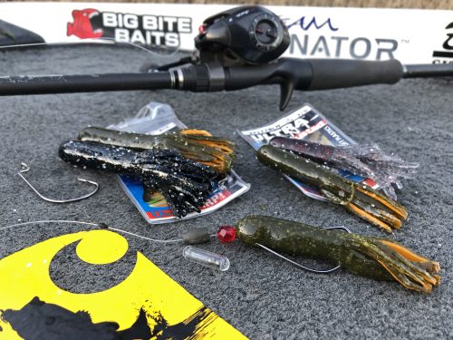 Soft plastic tubes still charting year round hits – Anglers Channel