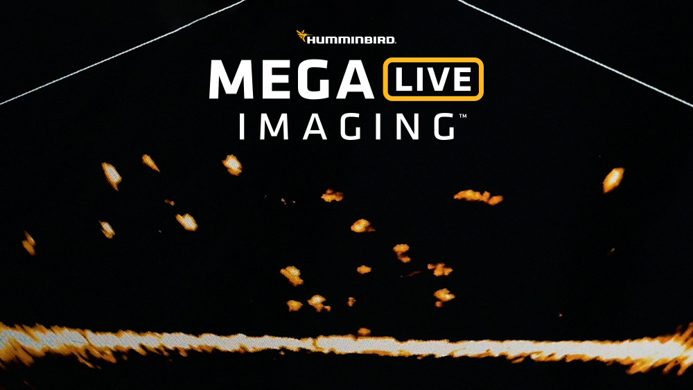Humminbird® Introduces MEGA Live Imaging™, Delivering the Detail