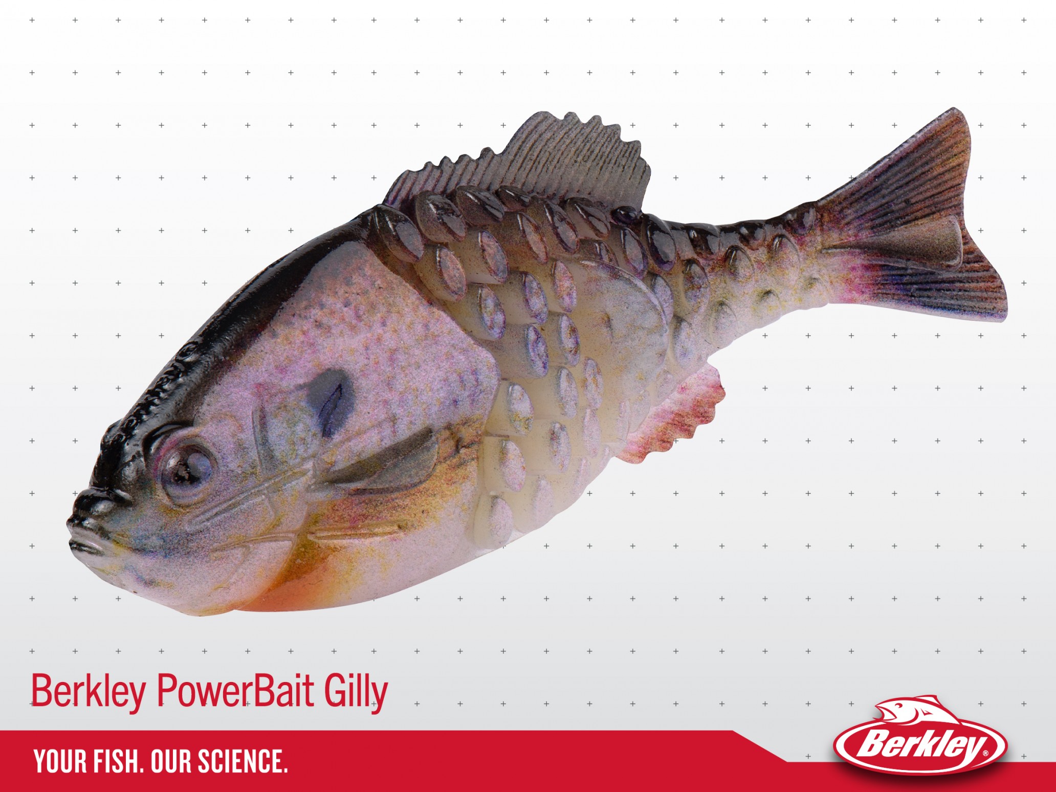 Berkley PowerBait Gilly Wins Best of Show at 2021 ICAST – Anglers Channel