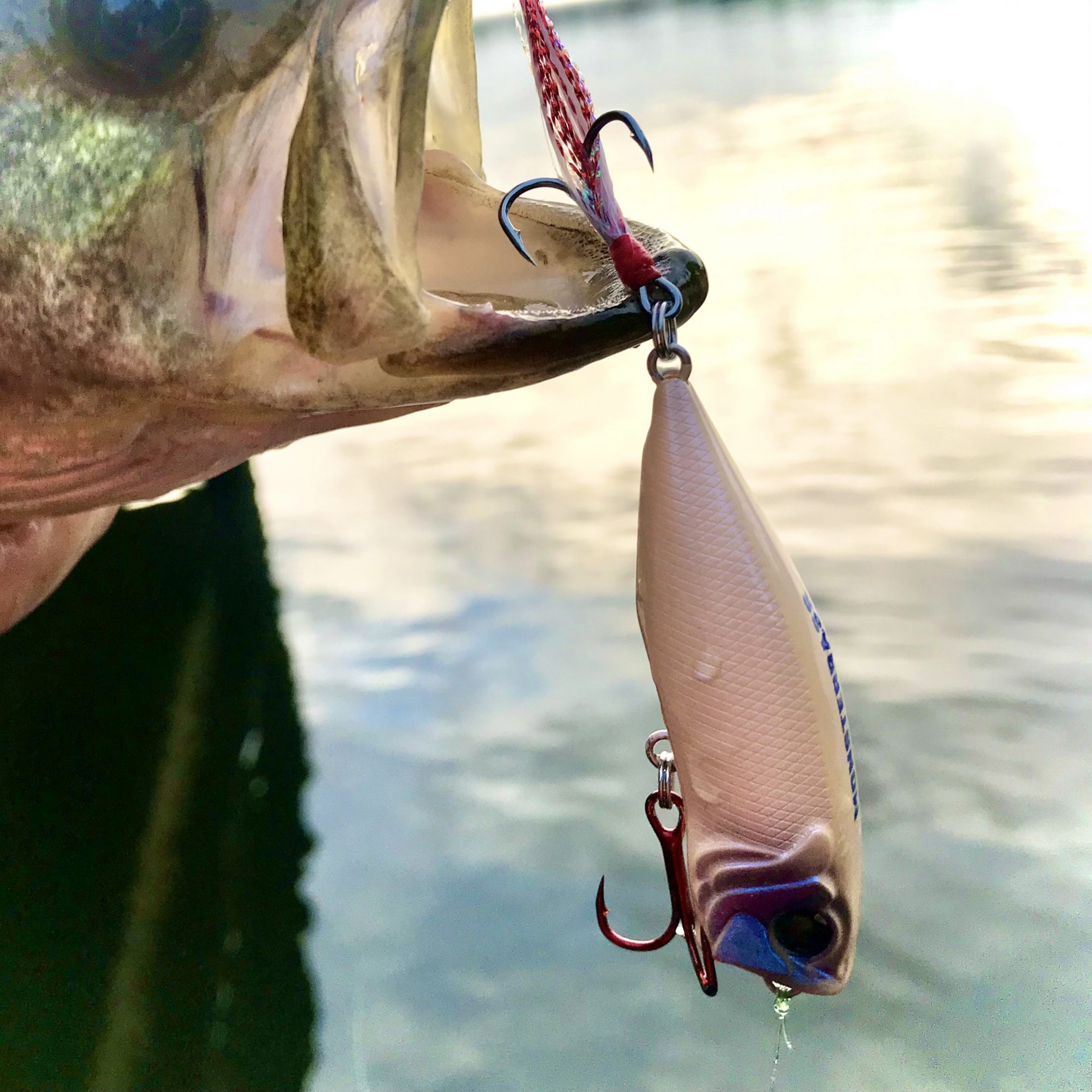 MonsterBass Mad Max Popper Review – Anglers Channel