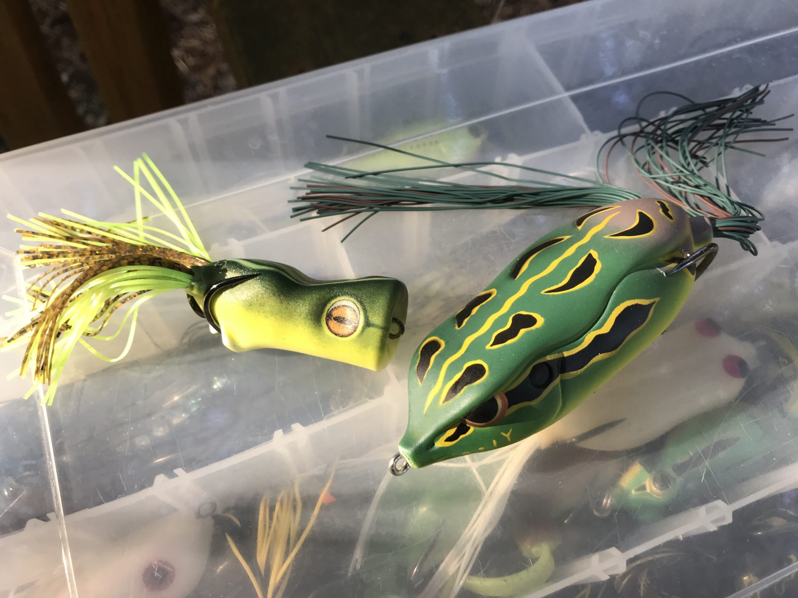 Fall Froggin' is here, Are you ready? – Anglers Channel