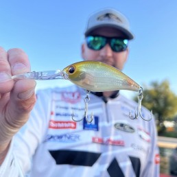 Mike Folkestad  Bass Fishing Blog: Clear Lake California is one of the  best fisheries in the country! WON Bass and FLW back-to-back tournaments