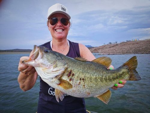 Largemouth Bass Chasing Minnows Tote Bag for Sale by Walter