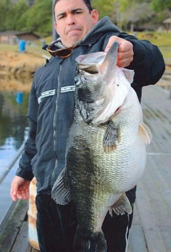 Gnarly Crankbaiting  The Ultimate Bass Fishing Resource Guide® LLC