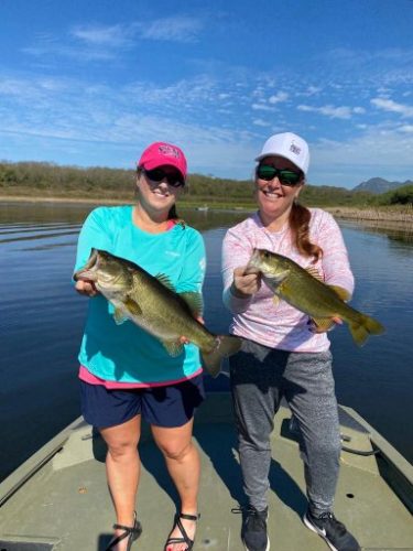 My new PB largemouth and my PB (first) smallmouth! All caught on zman ned  rigs. : r/bassfishing