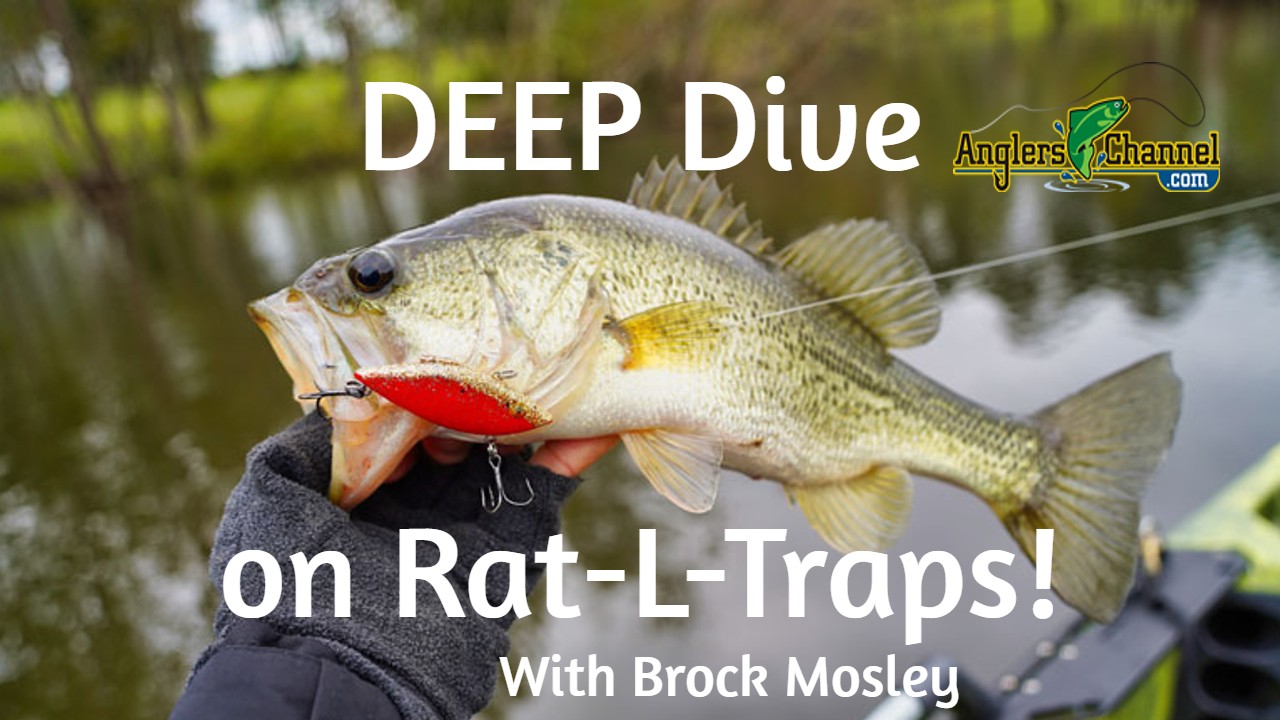 Deep Dive with Brock Mosley on the Rat-L-Trap – Anglers Channel