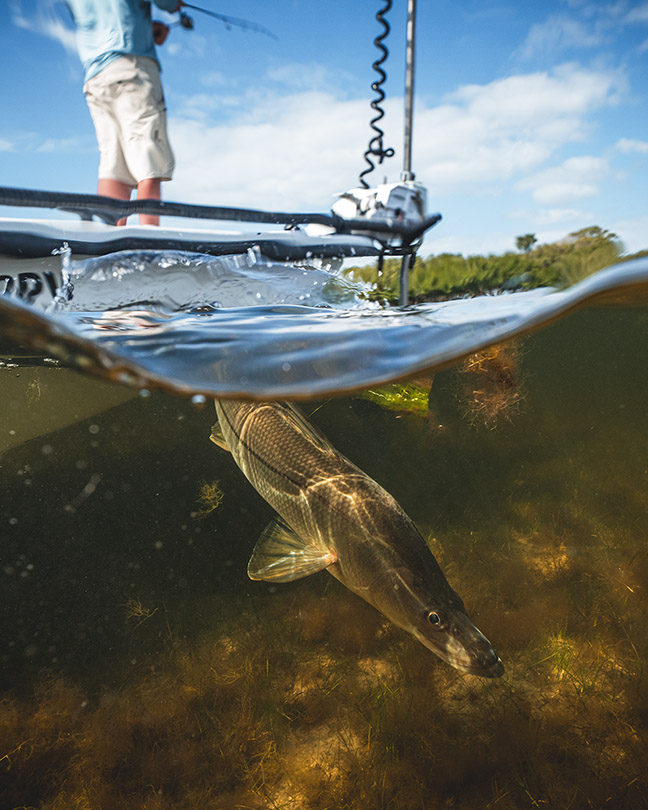 Fishing Unpressured Water- A guide by Eric Jackson