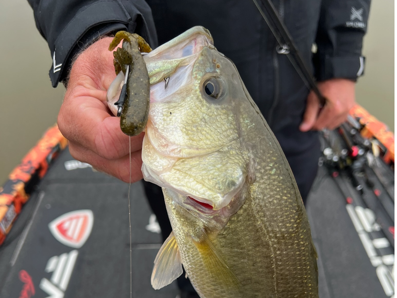 Art Lander's Outdoors: The swimbait is a big bass lure especially