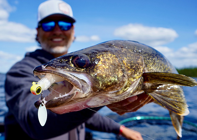 Spin Into River Walleyes Now – Anglers Channel
