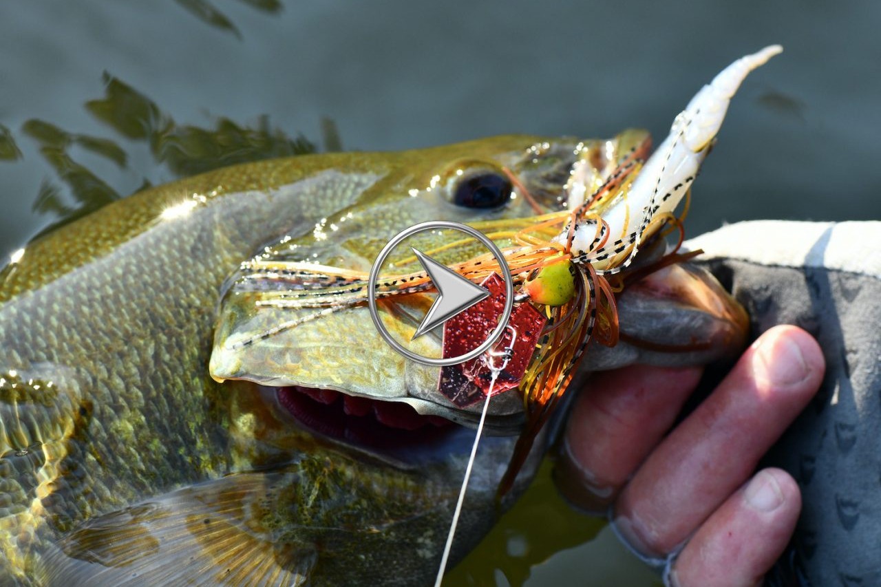 Gamakatsu's G-Finesse Drop Shot Now Available in Popular Size 4 Hook –  Anglers Channel